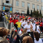 Terras de Bouro promove sessão para implementação do plano de deteção e controlo da vespa velutina
