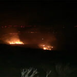 Rebelião Climática quer juntar forças com movimentos sociais em Braga