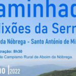 Braga promove projecto ‘Literacias para a Preservação das Florestas’