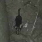 Casa do Conhecimento de Vila Verde promove a 3ª Feira de Ciência & Tecnologia, 23 a 31 de maio