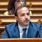 Descoberto fóssil de gafanhoto com mais de 300 milhões de anos em Gondomar