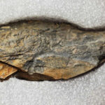 Trilho do Glaciar e do Alto Vez para percorrer no Gerês a 8 de maio