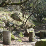 Grande Oriente Lusitano iniciou comemorações dos seus 220 anos