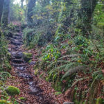 Clube Náutico de Ponte de Lima é o vencedor da Taça de Portugal de Maratona 2022