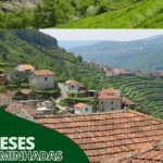 Caso Bracicla em Amares vai ser resolvido em tribunal