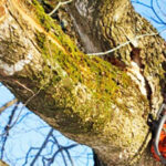 Produção de prova no megajulgamento do ‘caso AIMinho’ novamente adiada