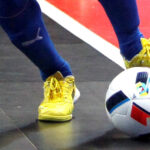 Vacinação antirrábica e identificação eletrónica de animais decorre até 21 de setembro em Vila Verde