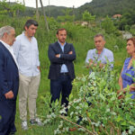 BragaHabit vai reabilitar cinco blocos no Bairro das Andorinhas