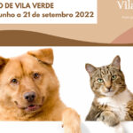 Apresentada queixa contra advogado de Braga suspeito de falsificar certificados