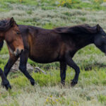 PJ detém homem de 83 anos suspeito de incêndio florestal em Guimarães