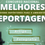 Despiste em Ponte de Lima faz quatro feridos, dois são crianças