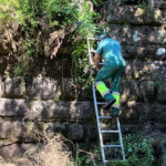 Ensino Superior chega a Vila Verde