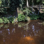 Conheça as datas para aceder aos vales para manuais gratuitos