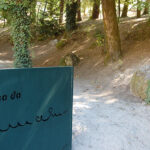 Álvaro Pacheco pede “foco” ao Vizela para “grande jogo” com Chaves