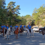 Condutor morre após despistar-se e bater contra uma árvore em Valença