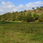 Homem detido em Braga por conduzir com álcool no sangue e por desobediência