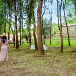 Homem detido em Braga por tráfico de droga