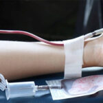 Concurso de fotografia ‘Braga Natural’ promove património natural biológico