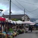 Cerca de 1.600 idosos vitimas de violência apoiados pela APAV em 2021