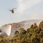 Mariana Machado vence na estreia dos 5.000 metros