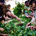 Cinco artistas ucranianas inauguram exposição única em Braga