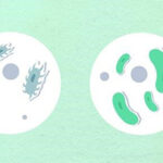 Programa ‘Viva o Bairro’ em Braga financia projectos de intervenção local até 20 mil euros