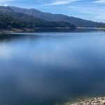 Amanhã não há recolha de lixo em Vila Verde