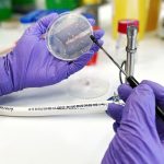 Nuno Miguel de Medeiros vence Prémio de História Alberto Sampaio