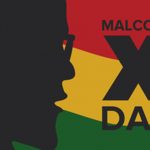 Golfinho ‘famoso’ em Espanha aparece com arpão cravado no corpo