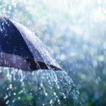 Projeto ‘Bem Envelhecer’ de Terras de Bouro no Laboratório Ibérico Internacional de Nanotecnologia