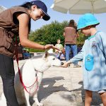 Cinco pessoas detidas por condução sob o efeito do álcool