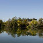 Hospital de Braga não realiza ecografias de segundo e terceiro trimestre, obrigatórias no acompanhamento da gravidez de baixo risco