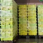 Nova edição da Mostra de Amadores de Teatro apresenta-se com quatro novas criações geradas em Guimarães