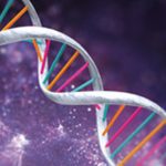 Plataforma interativa revela o território da Serra da Lousã