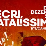 Socorristas da Cruz Vermelha de Ribeirão são surpreendidos e acabam a salvar coruja