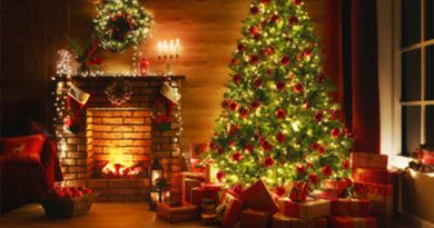 Árvores de Natal naturais vão ser distribuídas em troca de bens alimentares para famílias mais desfavorecidas em Amares