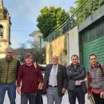 Cão subnutrido e ferido em Viana do Castelo com dona constituída arguida