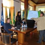 Guimarães promove concurso para um Natal mais sustentável