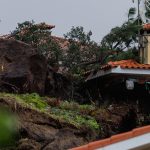 Câmara de Vila Verde lança campanha solidária de troca de alimentos por pinheiros naturais