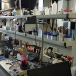 Museus apertam vigilância devido a ações ambientalistas de “terrorismo”