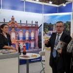 Cão subnutrido e ferido em Viana do Castelo com dona constituída arguida