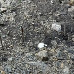 Arrecada mais de 120 mil dólares para ajudar idosa a pagar uma dívida