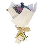 APPACDM dinamiza atividades artísticas em parceria com a CIM Alto Minho integradas no projeto “Cultura para Todos”