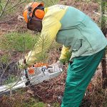 Theatro Circo revela programação dos dois primeiros meses de 2023