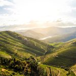 Empresa de Braga fecha contrato de mais de 7,5 milhões para revestir edifício em Londres