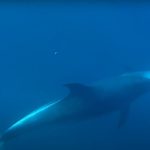 Talibãs permitem a afegãs fazerem exames finais do ensino secundário