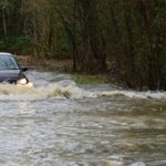 Graça Freitas vai abandonar liderança da Direção-Geral da Saúde