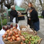 AGERE promove adesão à compostagem doméstica na AGRO 2026
