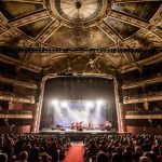 Associação Florestal do Cávado entrega pinheiros naturais para ações solidárias