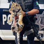 Braga e Porto entre os mais afetados com o mau tempo